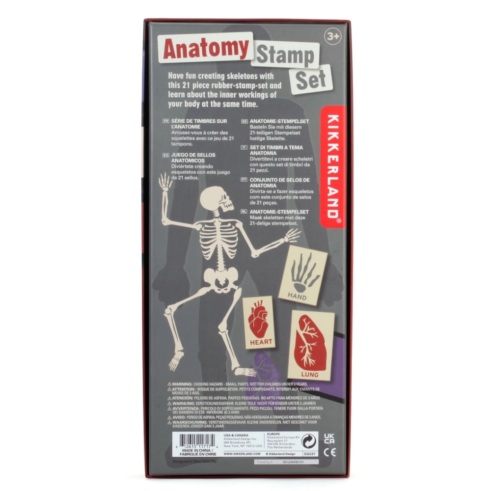 Kikkerland Anatomy Ink Stamp Boxed Set NWOT *UNUSED Age 3+ - Picture 2 of 10